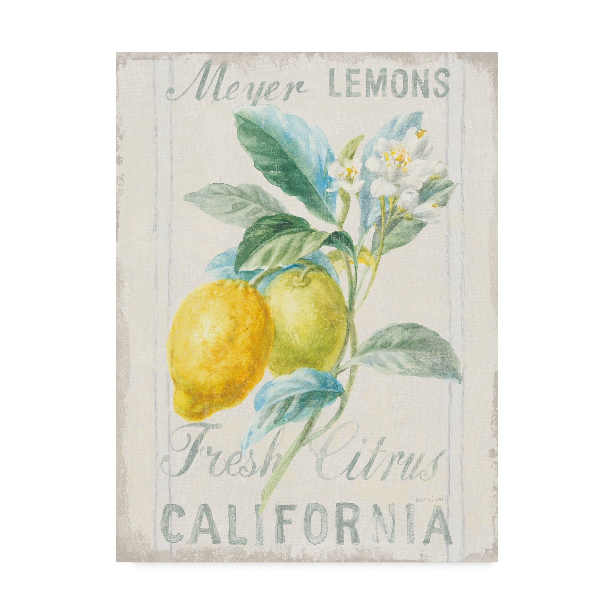 Trademark Fine Art 'Floursack Lemon II' Canvas Art by Danhui Nai