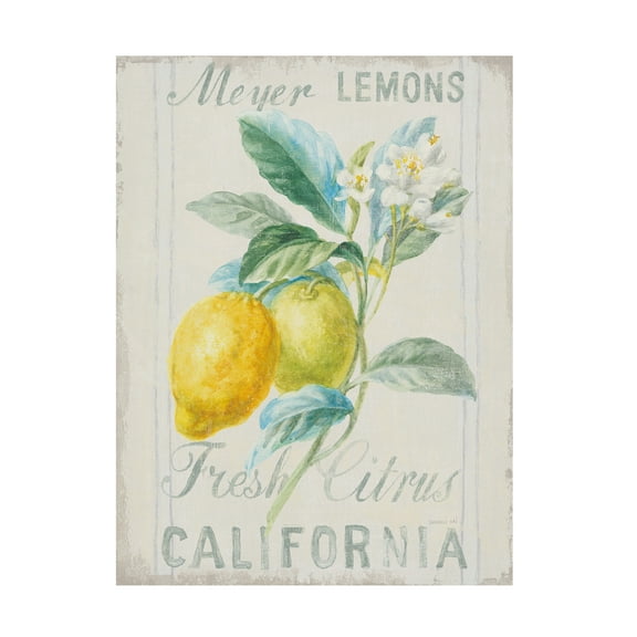 Trademark Fine Art 'Floursack Lemon II' Canvas Art by Danhui Nai