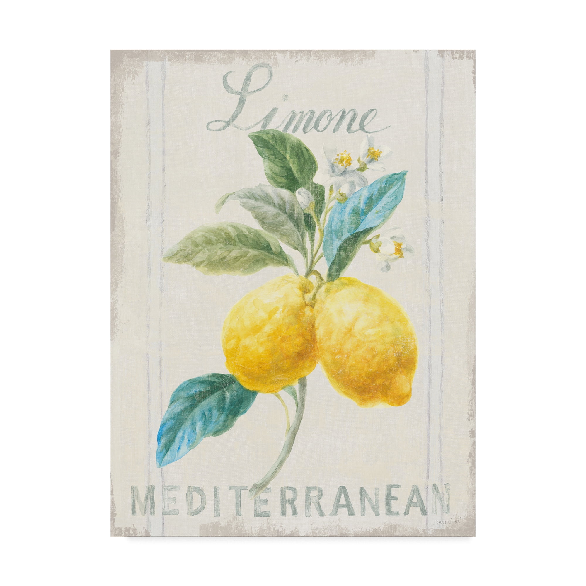 Trademark Fine Art 'Floursack Lemon III' Canvas Art by Danhui Nai