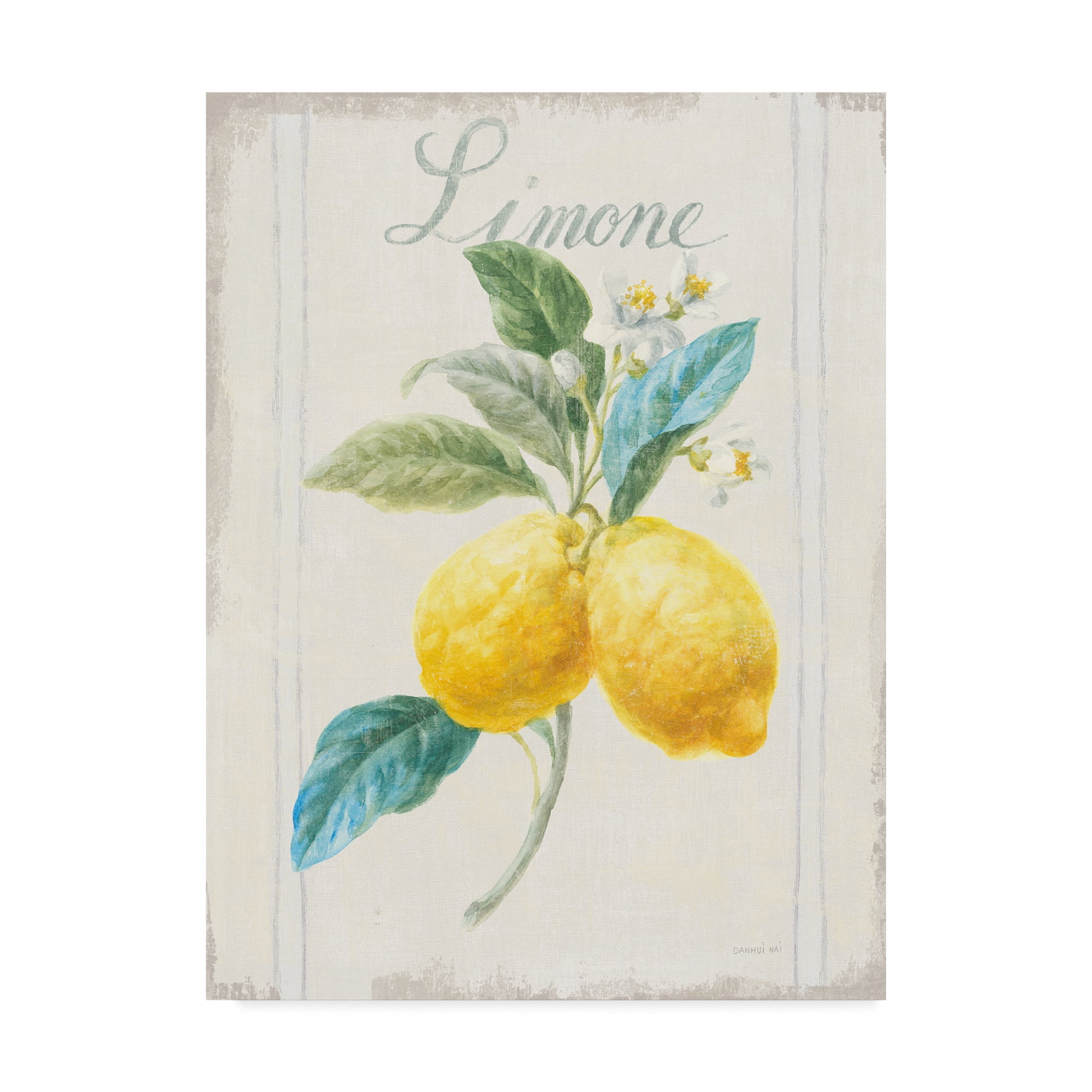 Trademark Fine Art 'Floursack Lemon III v2' Canvas Art by Danhui Nai