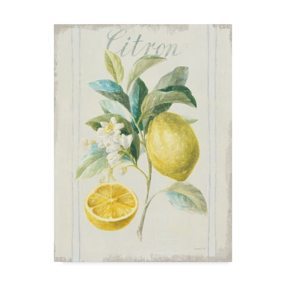 Trademark Fine Art 'Floursack Lemon IV v2' Canvas Art by Danhui Nai
