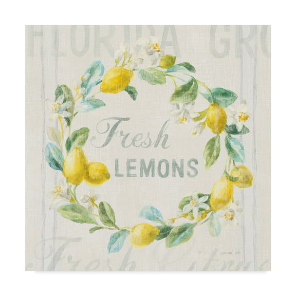 Trademark Fine Art 'Floursack Lemon V' Canvas Art by Danhui Nai