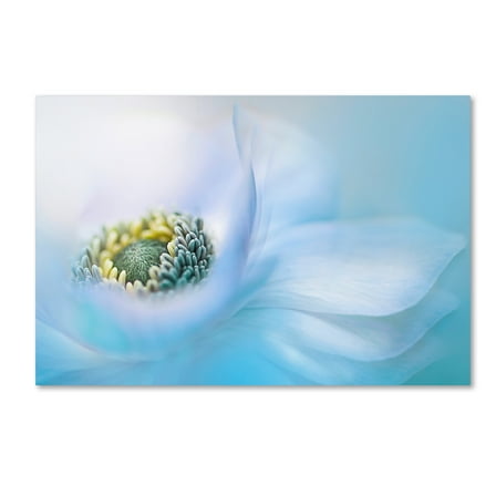 Trademark Fine Art 'Flow' Canvas Art by Jacky Parker