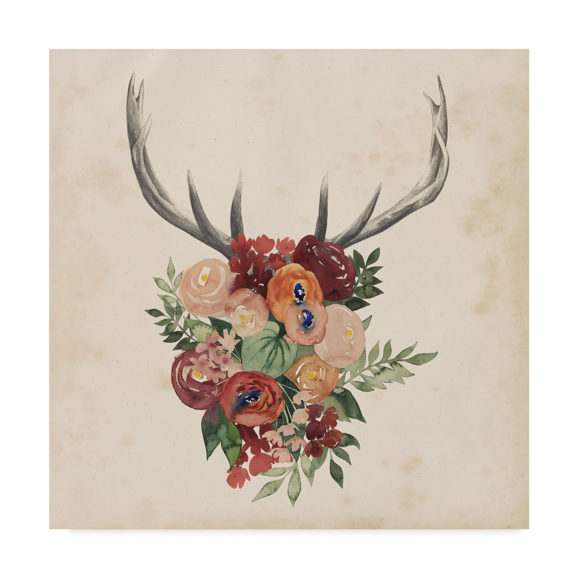 Trademark Fine Art 'Flower Antlers II' Canvas Art by Grace Popp