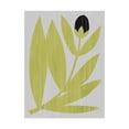 thumbnail image 1 of Trademark Fine Art 'Flower Cutting II' Canvas Art by Grace Popp, 1 of 3