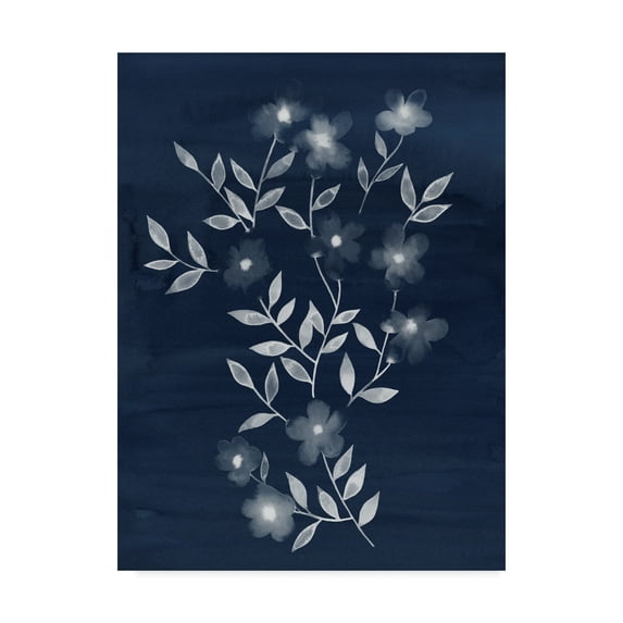 Trademark Fine Art 'Flower Cyanotype I' Canvas Art by Grace Popp