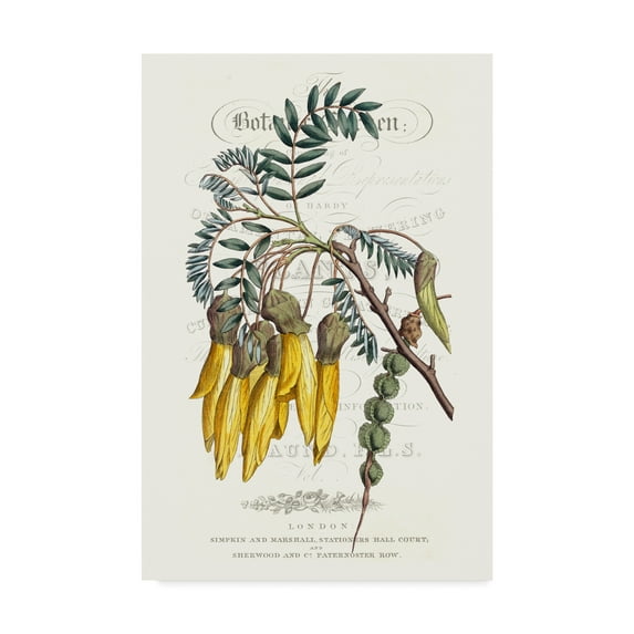 Trademark Fine Art 'Flower Garden Varietals III' Canvas Art by Vision Studio