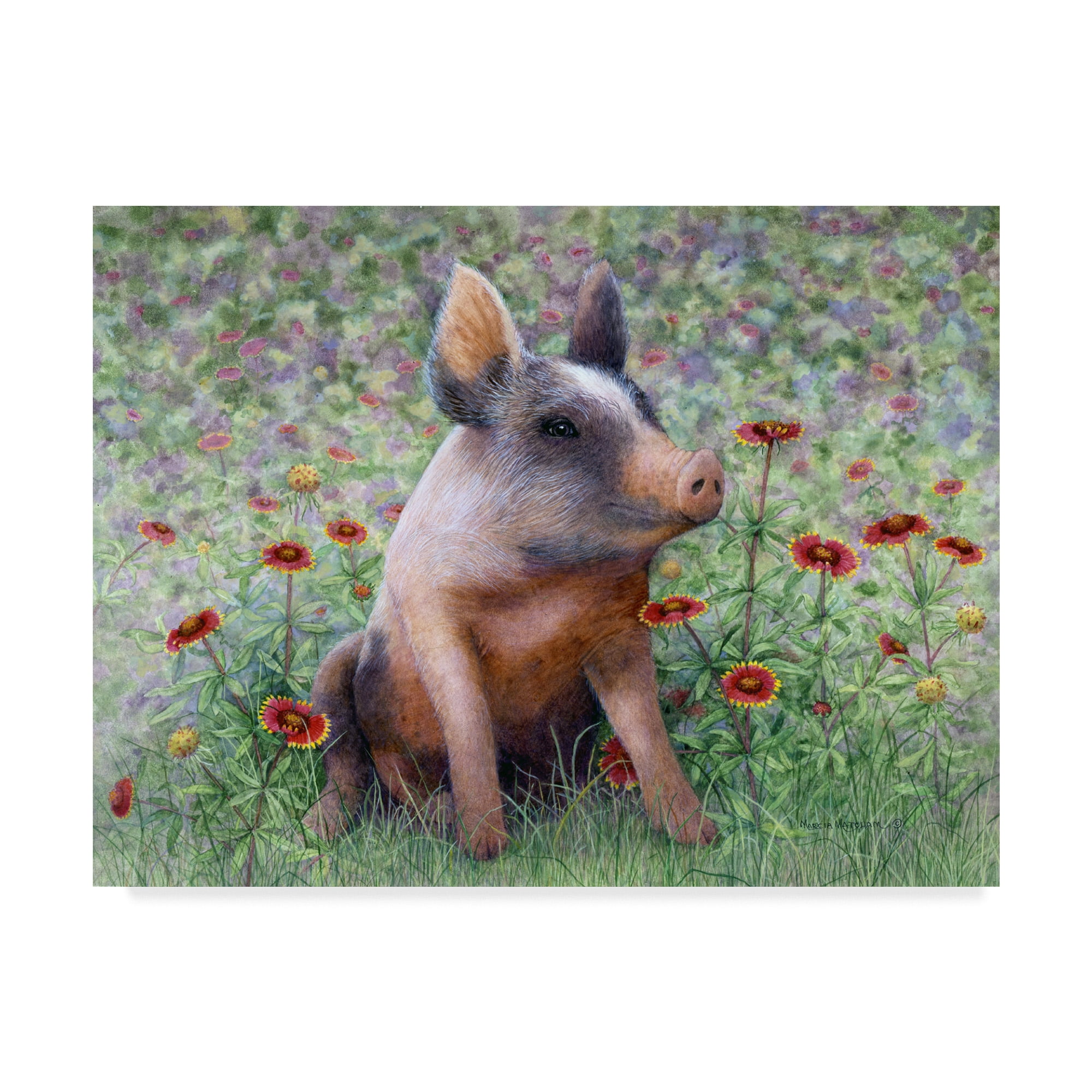 Trademark Fine Art 'Flower Girl Piggy' Canvas Art by Marcia Matcham