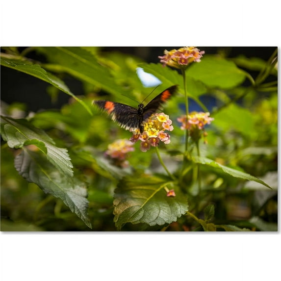 Trademark Fine Art "Flower Jungle" Canvas Art by Yale Gurney