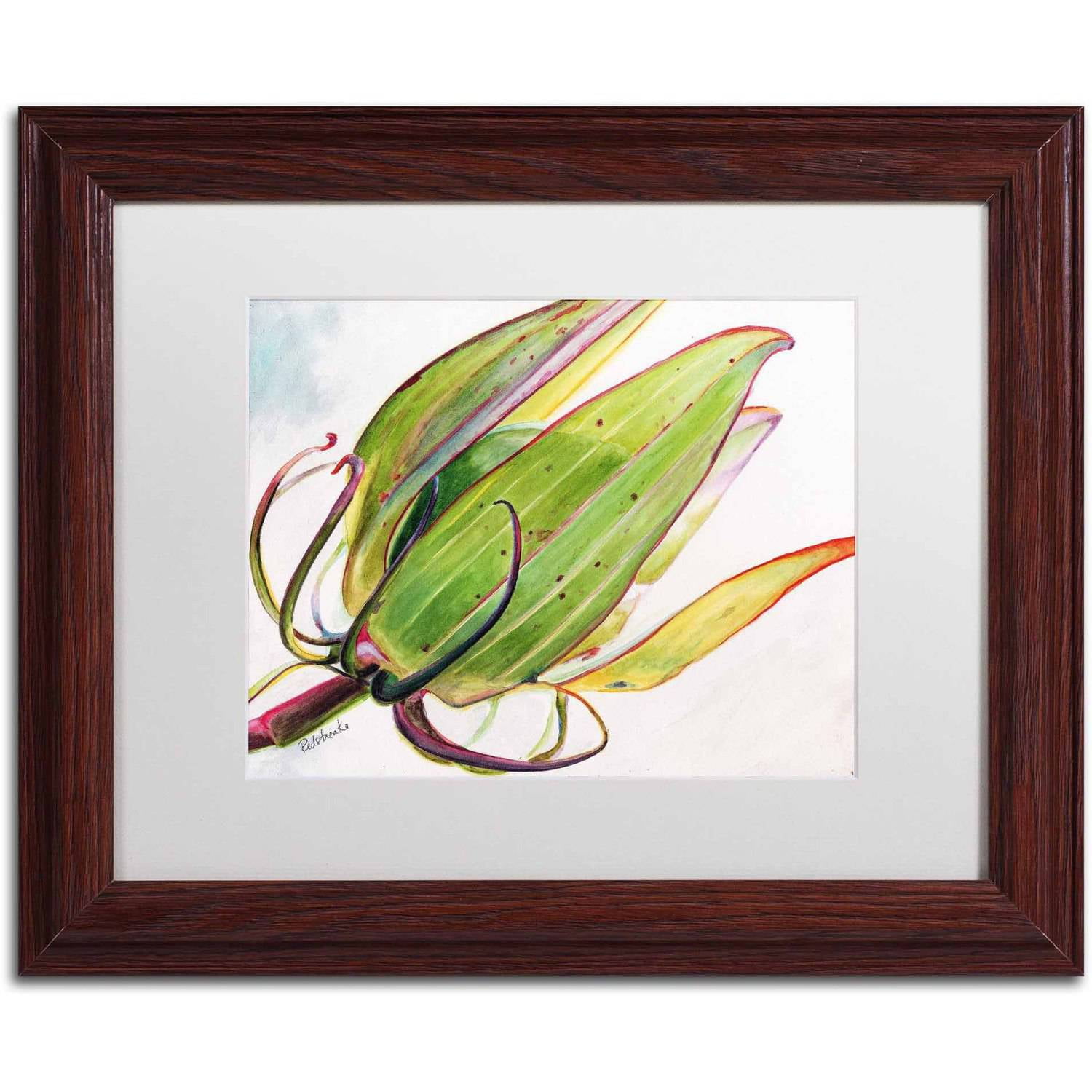 Trademark Fine Art "Flower Pod" Canvas Art by Jennifer Redstreake White Matte, Wood Frame