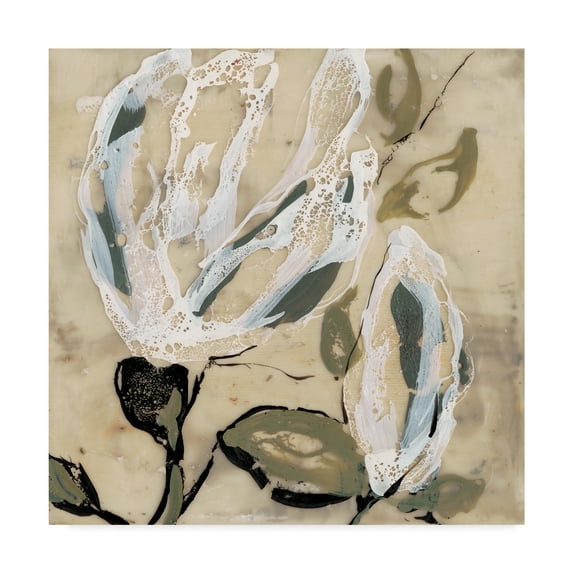 Trademark Fine Art 'Flower Pods I' Canvas Art by Jennifer Goldberger