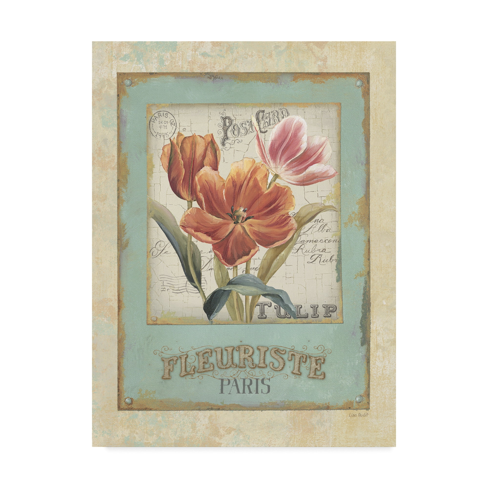 Trademark Fine Art 'Flower Shop II' Canvas Art by Lisa Audit