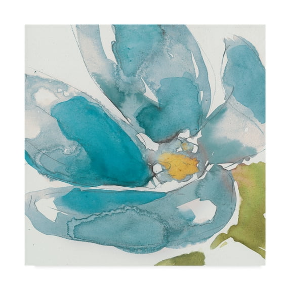 Trademark Fine Art 'Flower Splash I' Canvas Art by Jennifer Goldberger