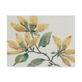 thumbnail image 1 of Trademark Fine Art 'Flowering Branch II' Canvas Art by Tim OToole, 1 of 4