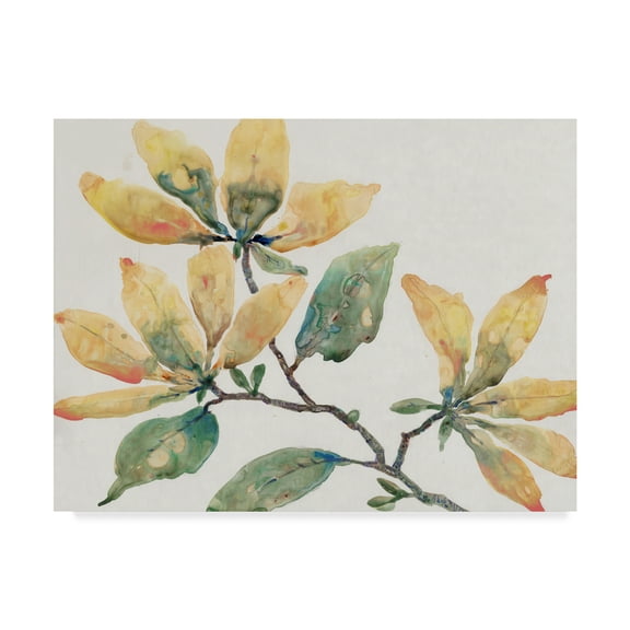 Trademark Fine Art 'Flowering Branch II' Canvas Art by Tim OToole