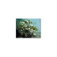 thumbnail image 1 of Trademark Fine Art "Flowering Branches And Flowers" Canvas Wall Art by Gustave Courbet, 1 of 2