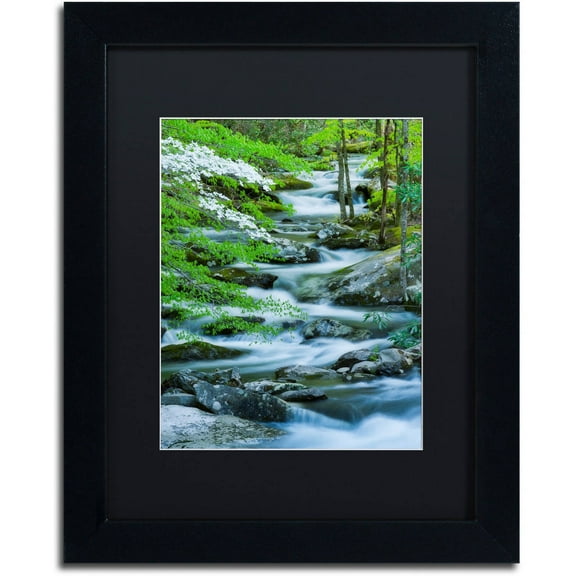 Trademark Fine Art "Flowering Dogwood" Canvas Art by Michael Blanchette Photography Black Matte, Black Frame