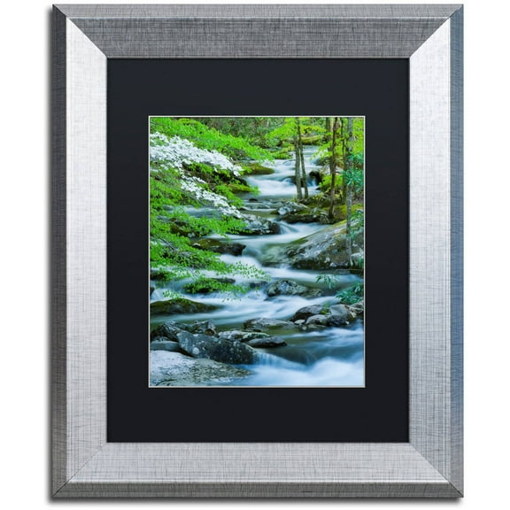 Trademark Fine Art "Flowering Dogwood" Canvas Art by Michael Blanchette Photography Black Matte, Silver Frame