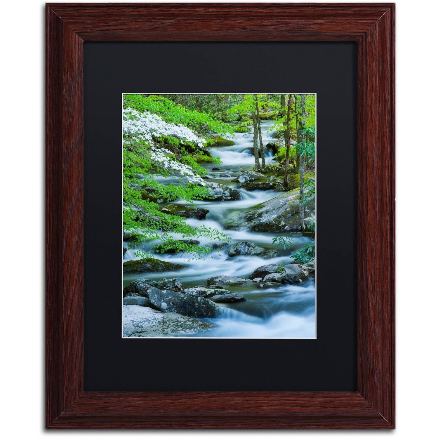 Trademark Fine Art "Flowering Dogwood" Canvas Art by Michael Blanchette Photography Black Matte, Wood Frame