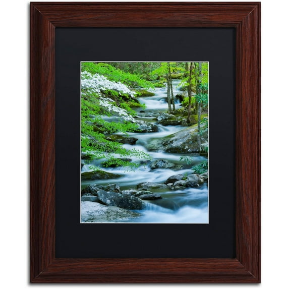 Trademark Fine Art "Flowering Dogwood" Canvas Art by Michael Blanchette Photography Black Matte, Wood Frame