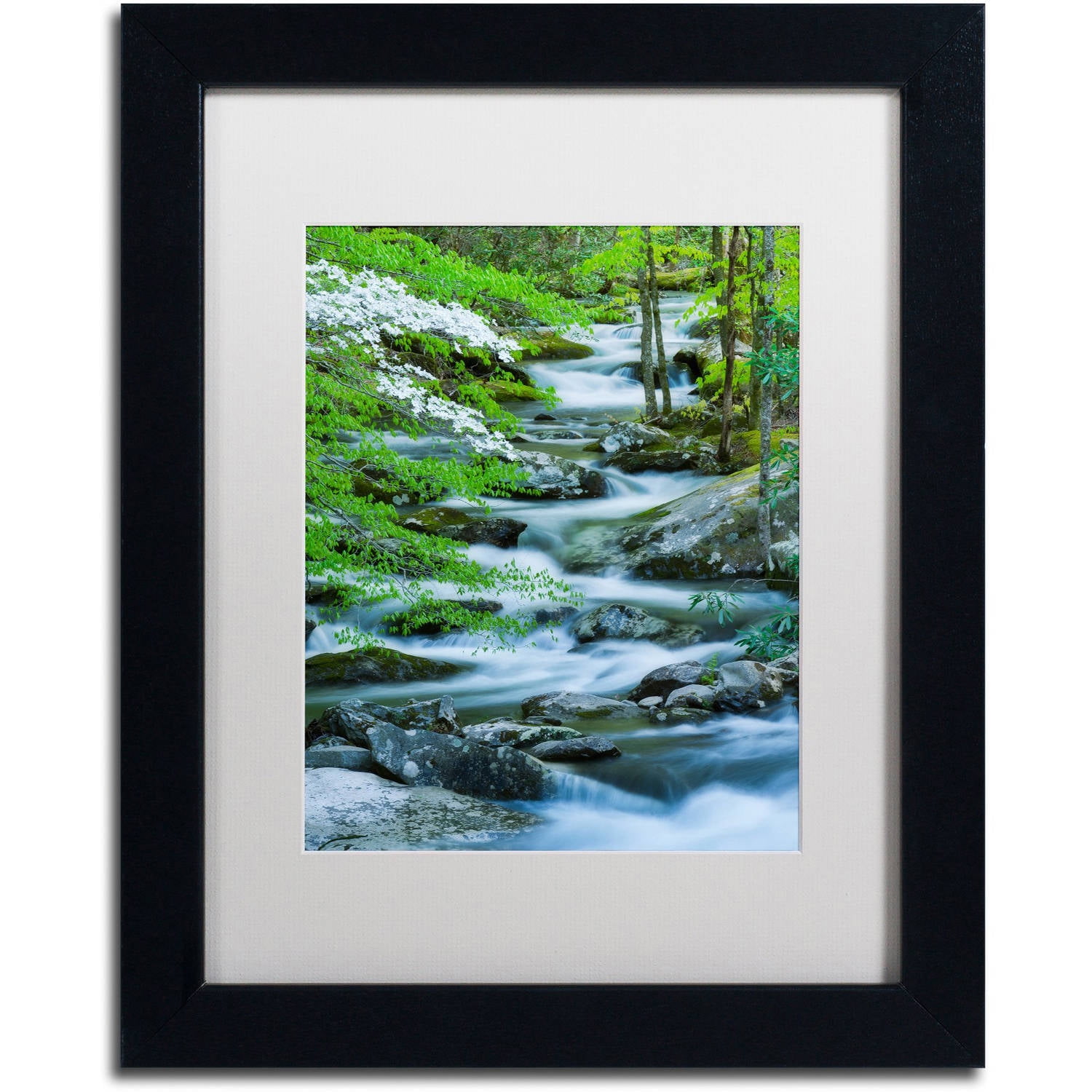 Trademark Fine Art "Flowering Dogwood" Canvas Art by Michael Blanchette Photography White Matte, Black Frame