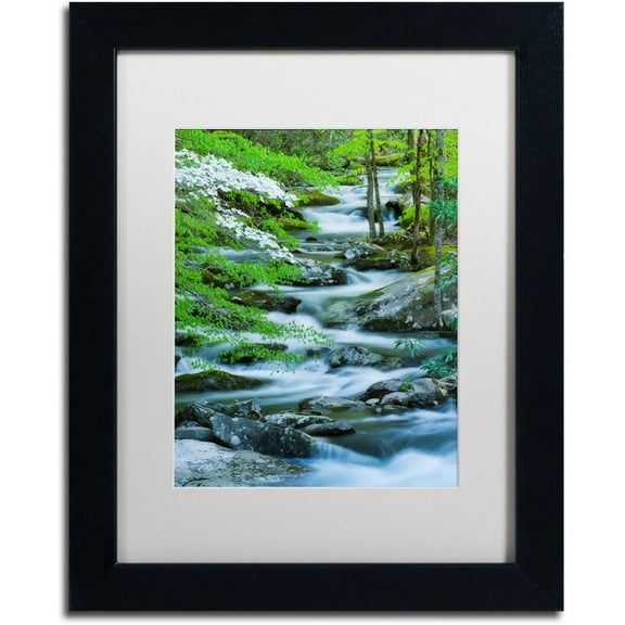 Trademark Fine Art "Flowering Dogwood" Canvas Art by Michael Blanchette Photography White Matte, Black Frame