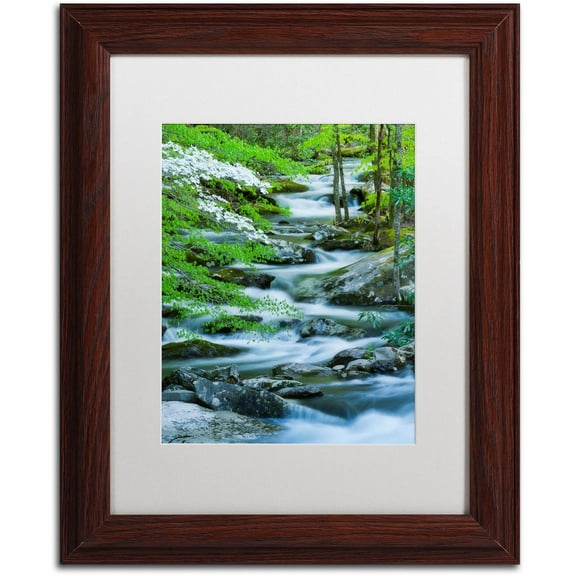 Trademark Fine Art "Flowering Dogwood" Canvas Art by Michael Blanchette Photography White Matte, Wood Frame