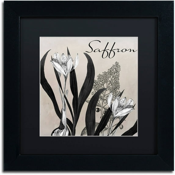 Trademark Fine Art "Flowering Herbs I" Canvas Art by Color Bakery Black Matte, Black Frame