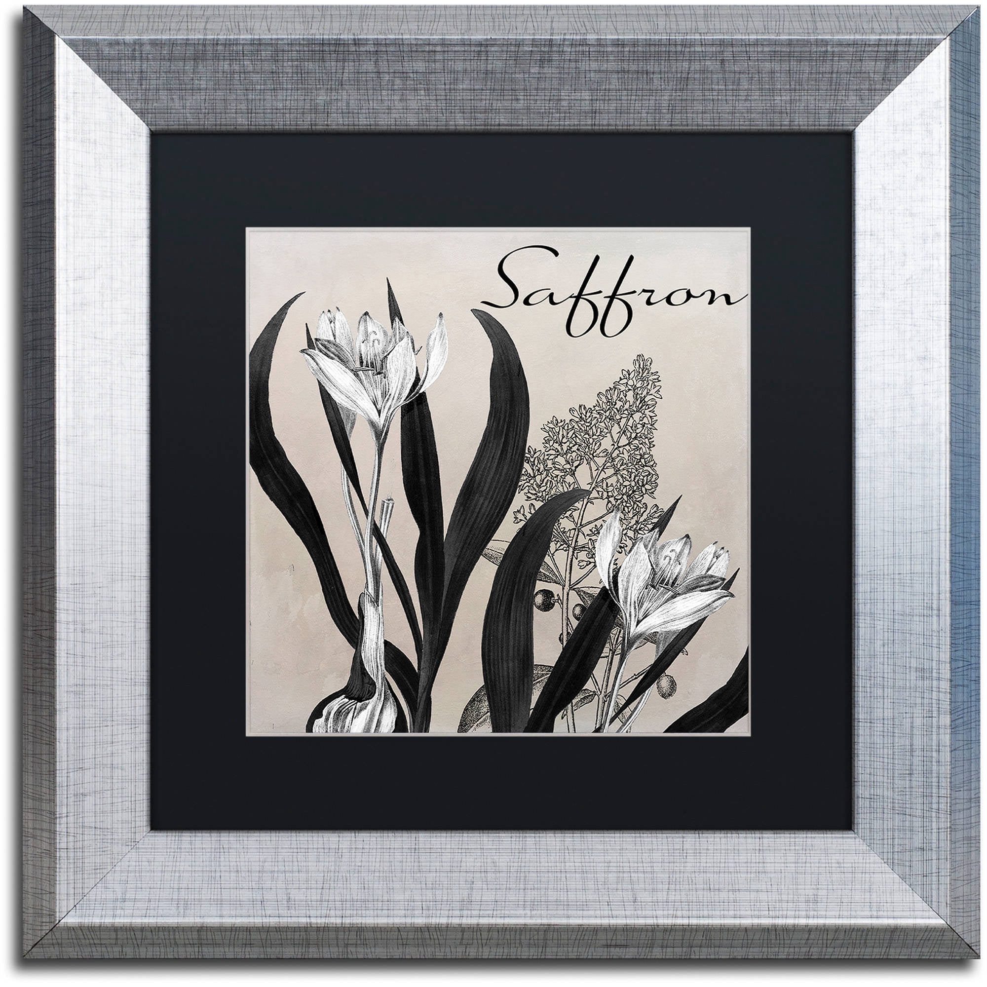 Trademark Fine Art "Flowering Herbs I" Canvas Art by Color Bakery Black Matte, Silver Frame