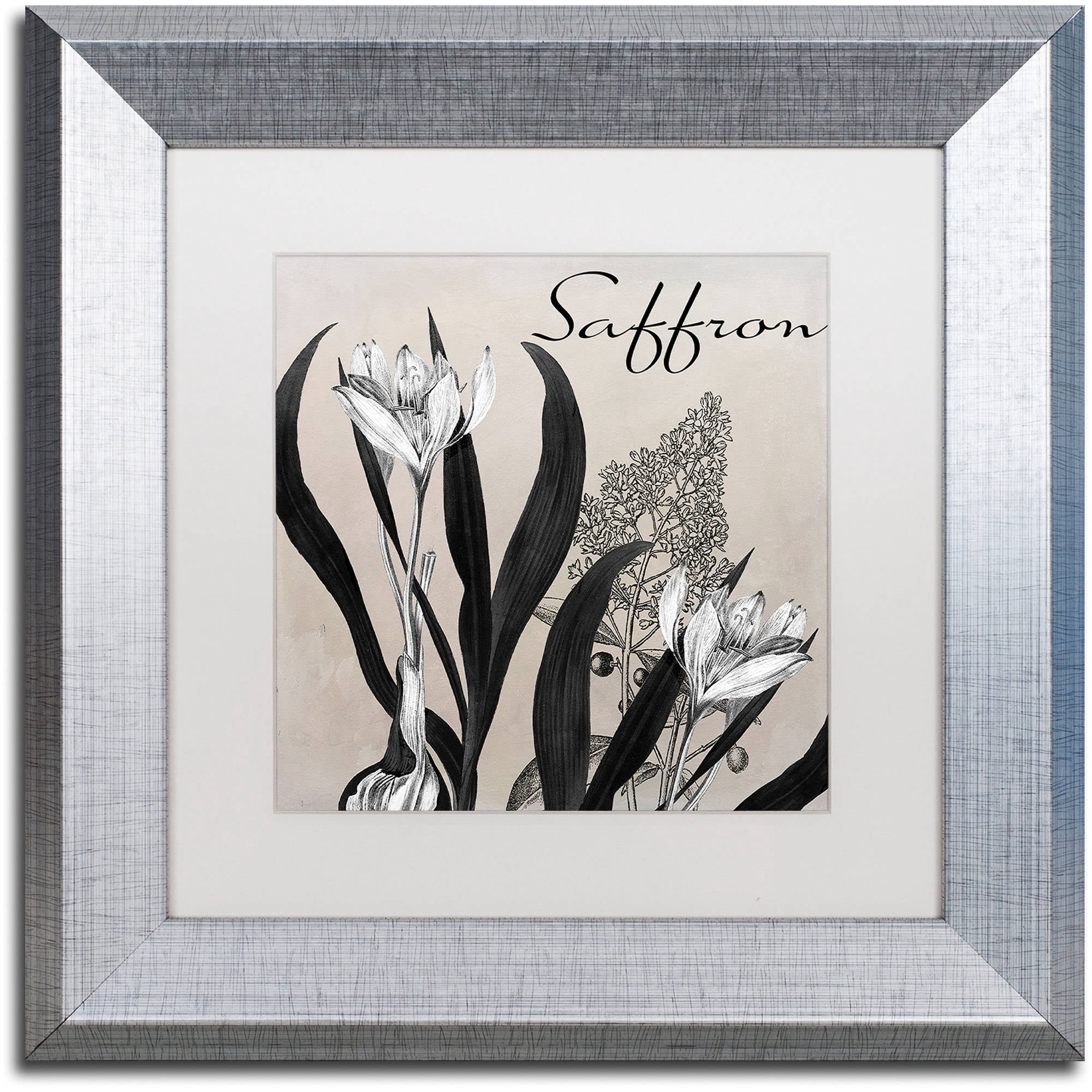Trademark Fine Art "Flowering Herbs I" Canvas Art by Color Bakery White Matte, Silver Frame