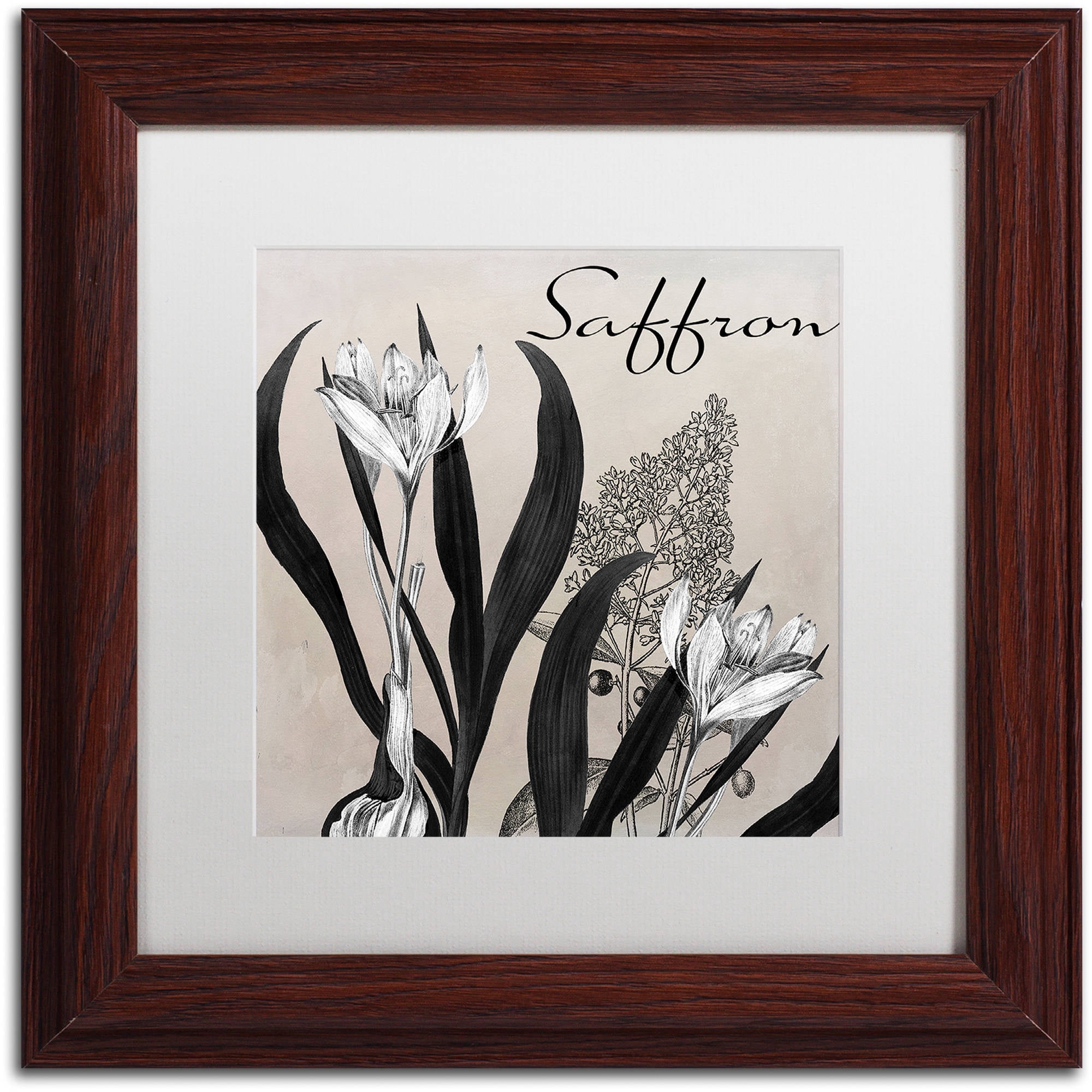 Trademark Fine Art "Flowering Herbs I" Canvas Art by Color Bakery White Matte, Wood Frame