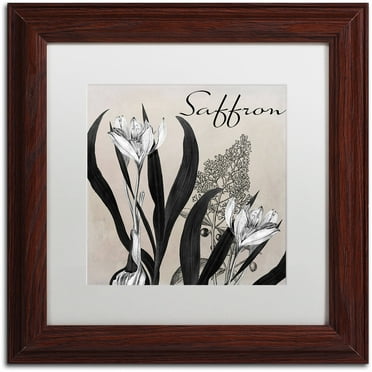Trademark Fine Art "Flowering Herbs I" Canvas Art by Color Bakery White Matte, Wood Frame