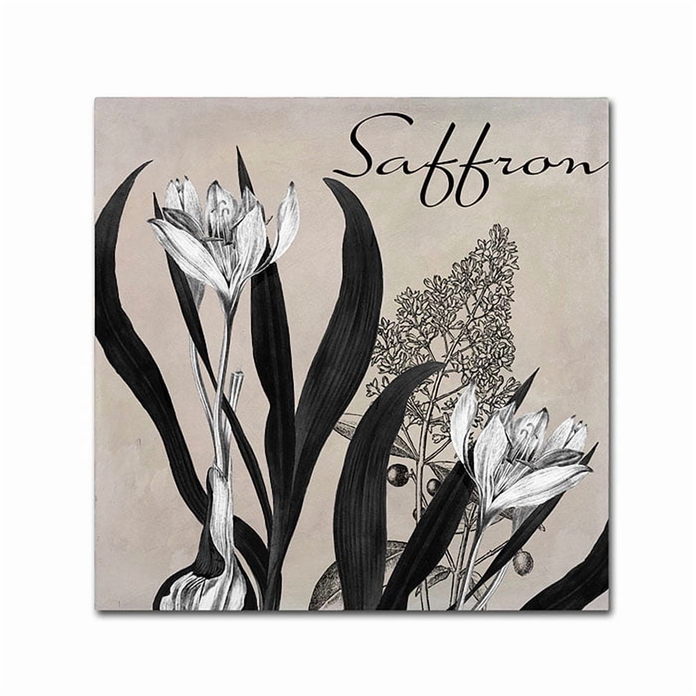 Trademark Fine Art "Flowering Herbs I" Canvas Art by Color Bakery