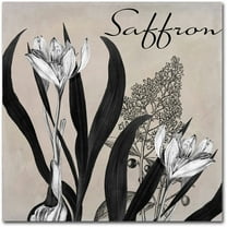 Trademark Fine Art "Flowering Herbs I" Canvas Art by Color Bakery