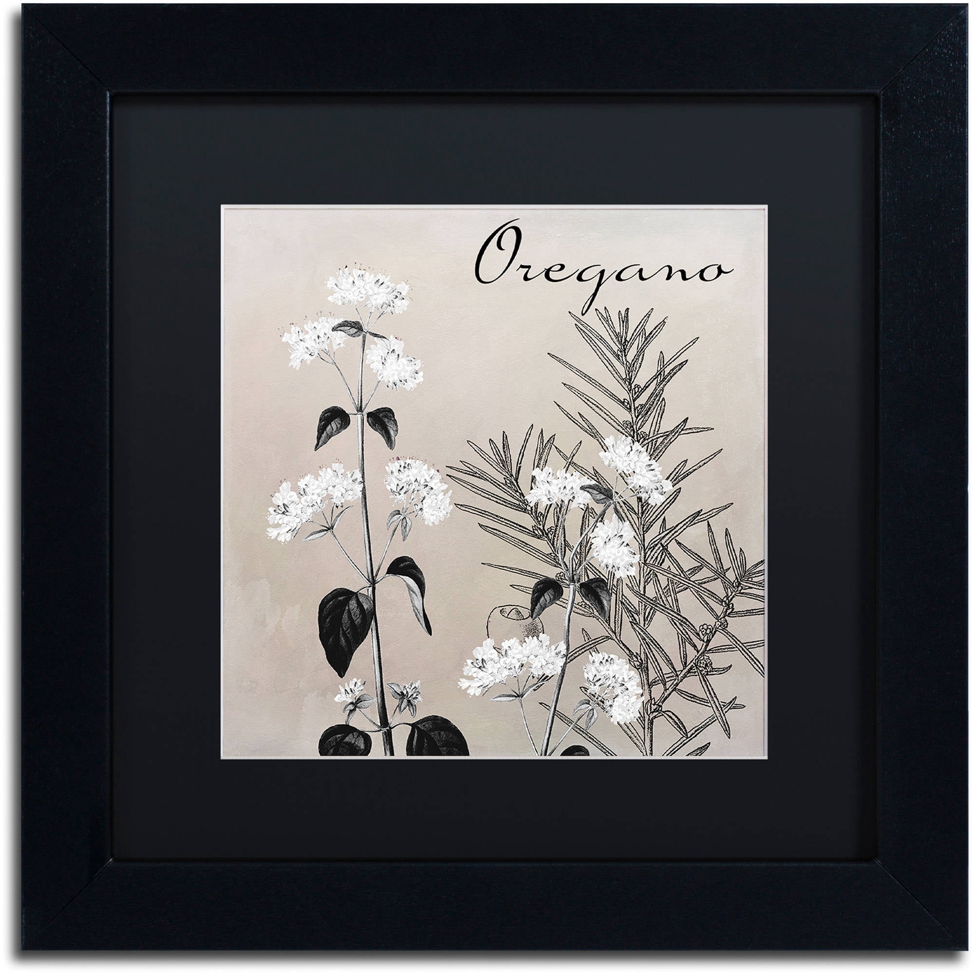 Trademark Fine Art "Flowering Herbs II" Canvas Art by Color Bakery Black Matte, Black Frame