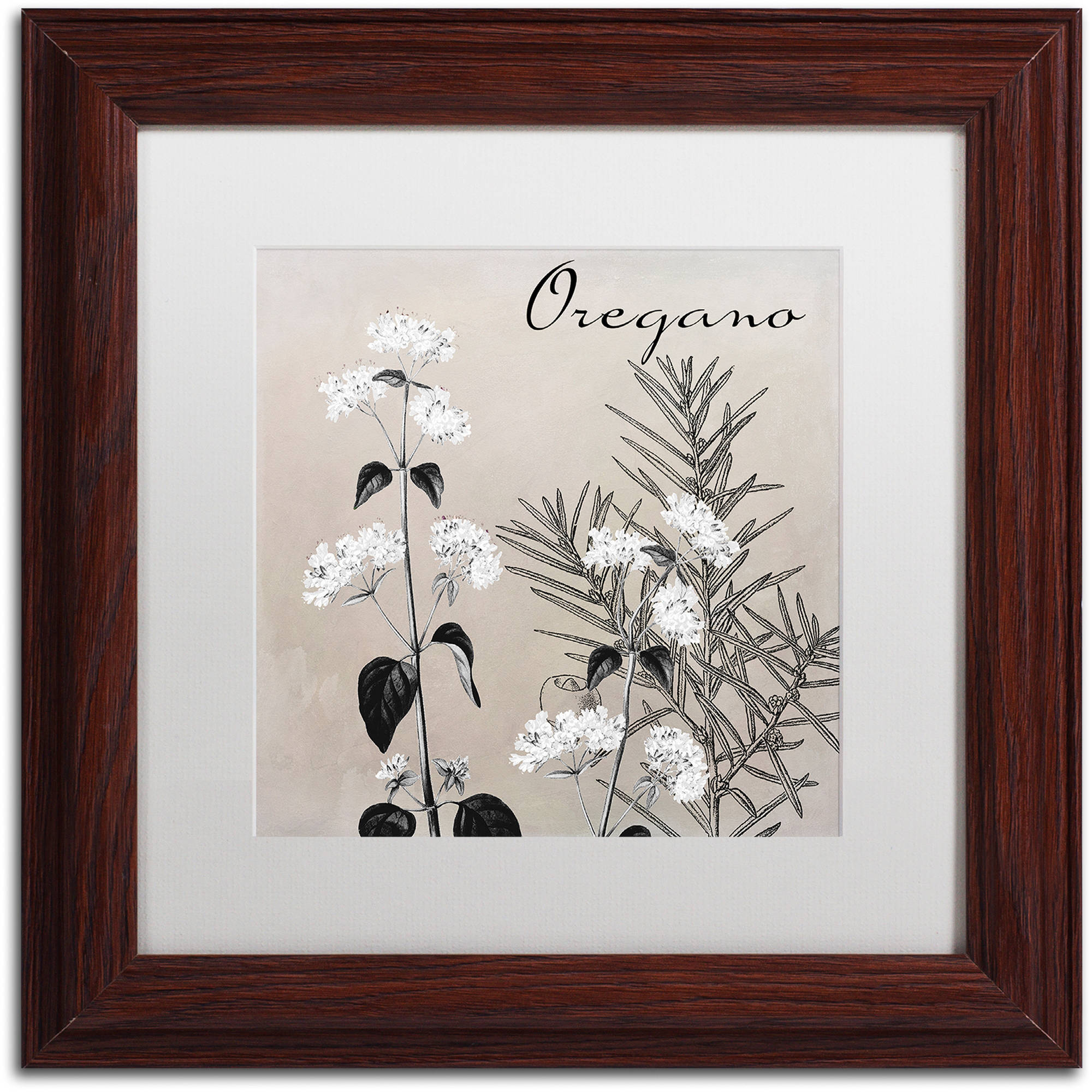 Trademark Fine Art "Flowering Herbs II" Canvas Art by Color Bakery White Matte, Wood Frame