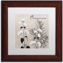 Trademark Fine Art "Flowering Herbs II" Canvas Art by Color Bakery White Matte, Wood Frame