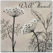 Trademark Fine Art "Flowering Herbs III" Canvas Art by Color Bakery