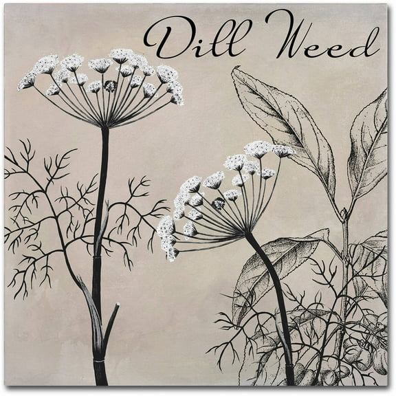 Trademark Fine Art "Flowering Herbs III" Canvas Art by Color Bakery