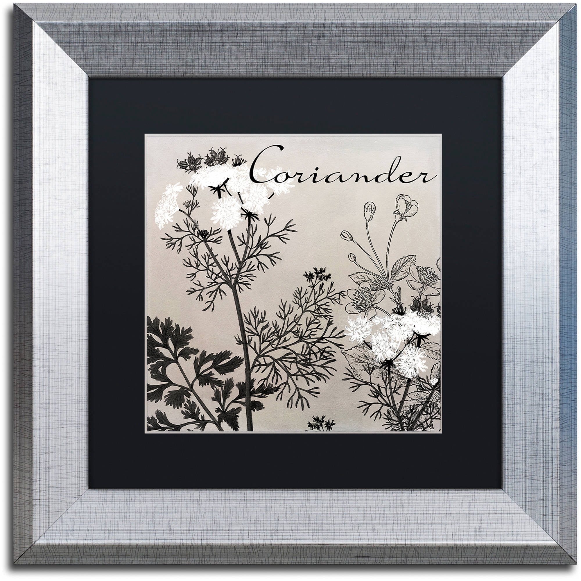 Trademark Fine Art "Flowering Herbs IV" Canvas Art by Color Bakery Black Matte, Silver Frame