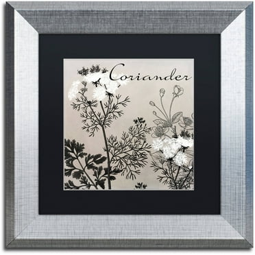 Trademark Fine Art "Flowering Herbs IV" Canvas Art by Color Bakery Black Matte, Silver Frame