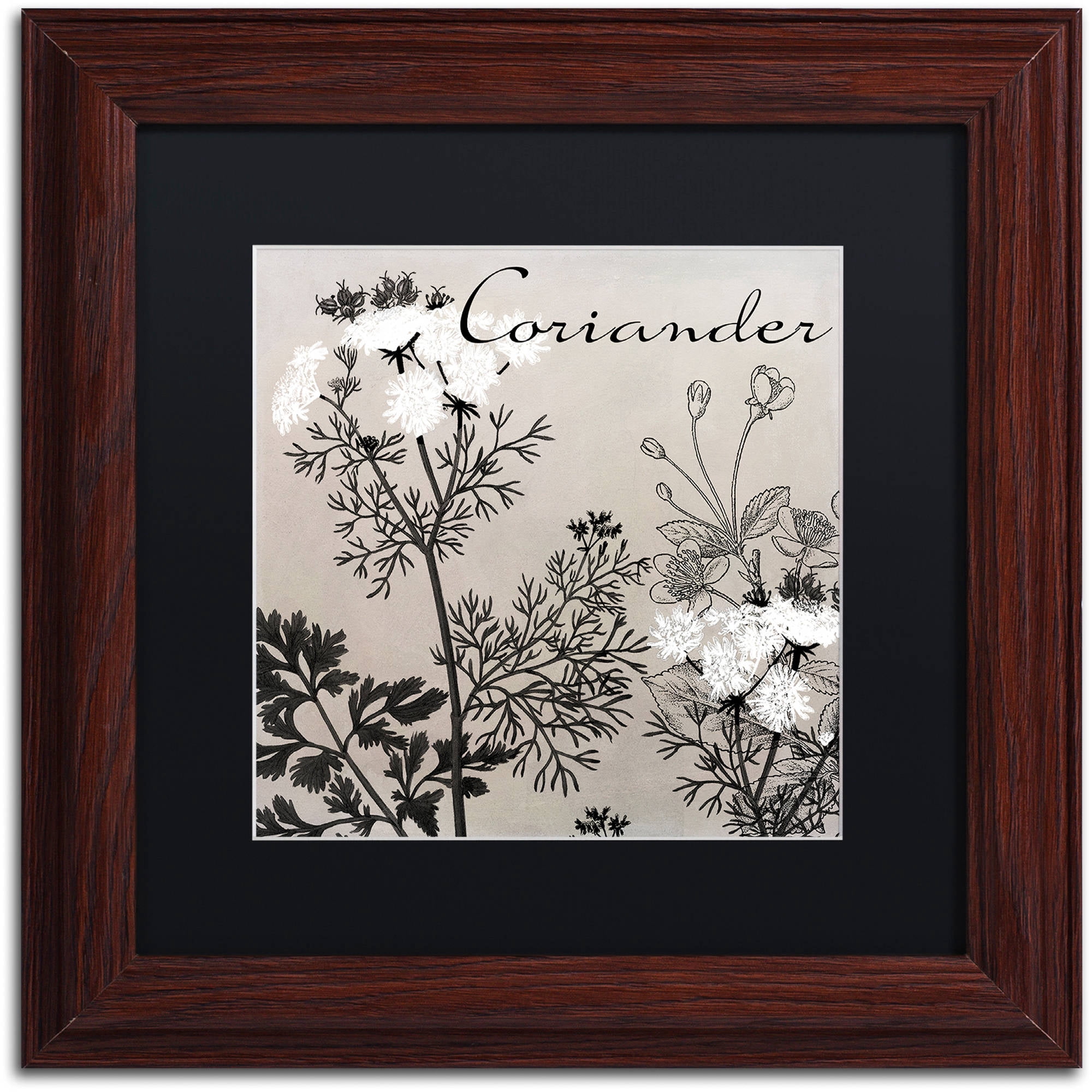 Trademark Fine Art "Flowering Herbs IV" Canvas Art by Color Bakery Black Matte, Wood Frame
