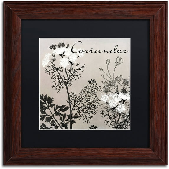 Trademark Fine Art "Flowering Herbs IV" Canvas Art by Color Bakery Black Matte, Wood Frame