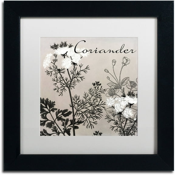 Trademark Fine Art "Flowering Herbs IV" Canvas Art by Color Bakery White Matte, Black Frame