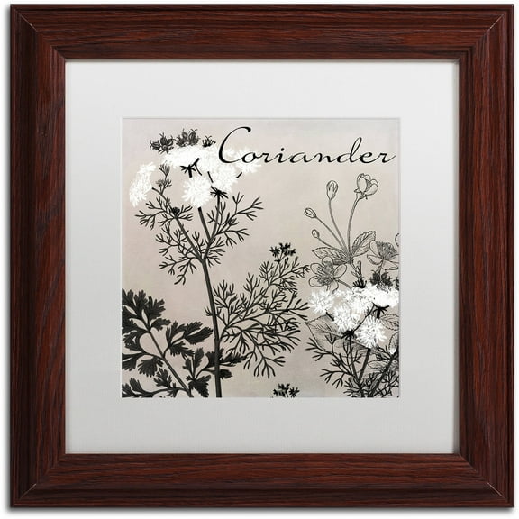 Trademark Fine Art "Flowering Herbs IV" Canvas Art by Color Bakery White Matte, Wood Frame