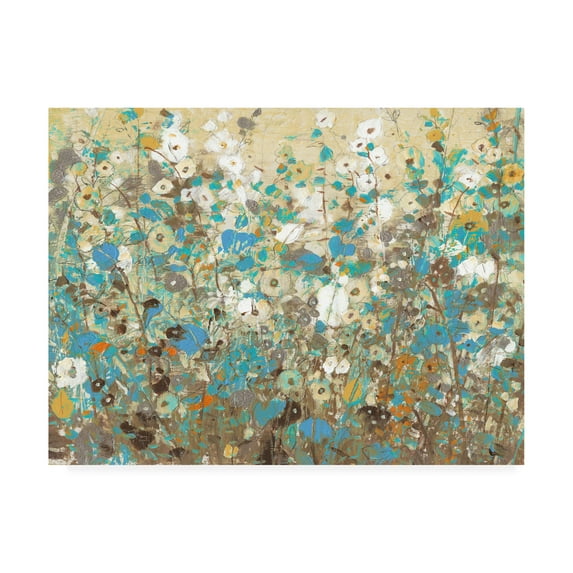 Trademark Fine Art 'Flowering Vines I' Canvas Art by Tim OToole