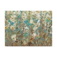 thumbnail image 1 of Trademark Fine Art 'Flowering Vines II' Canvas Art by Tim OToole, 1 of 4