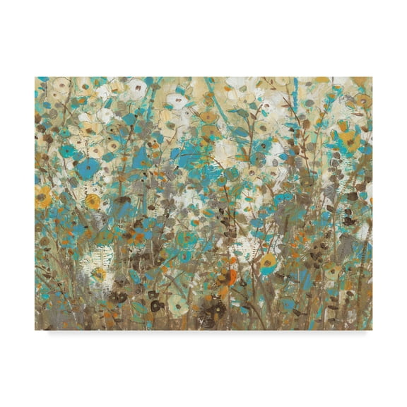 Trademark Fine Art 'Flowering Vines II' Canvas Art by Tim OToole
