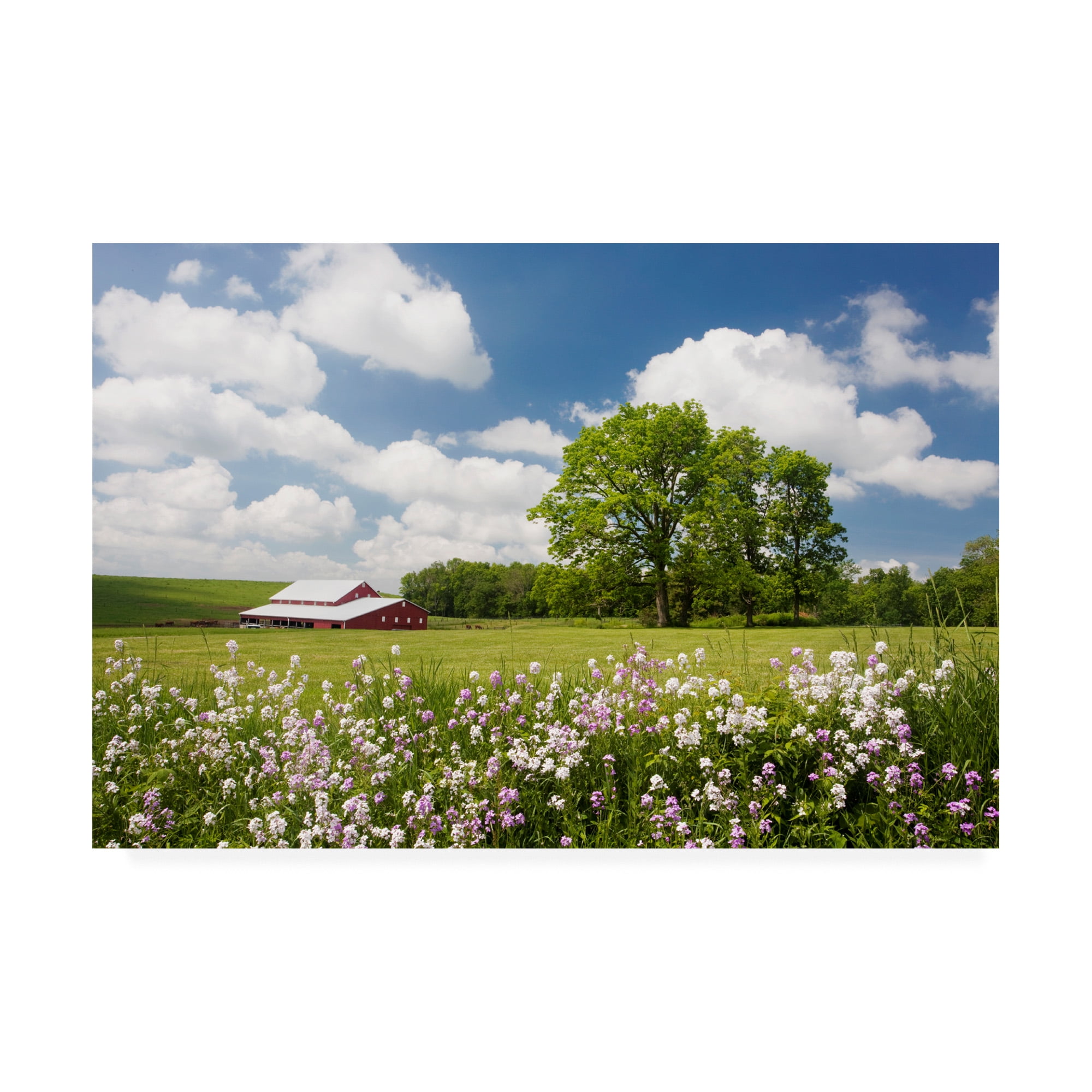 Trademark Fine Art 'Flowers And Farm Holmes County Ohio' Canvas Art by Monte Nagler