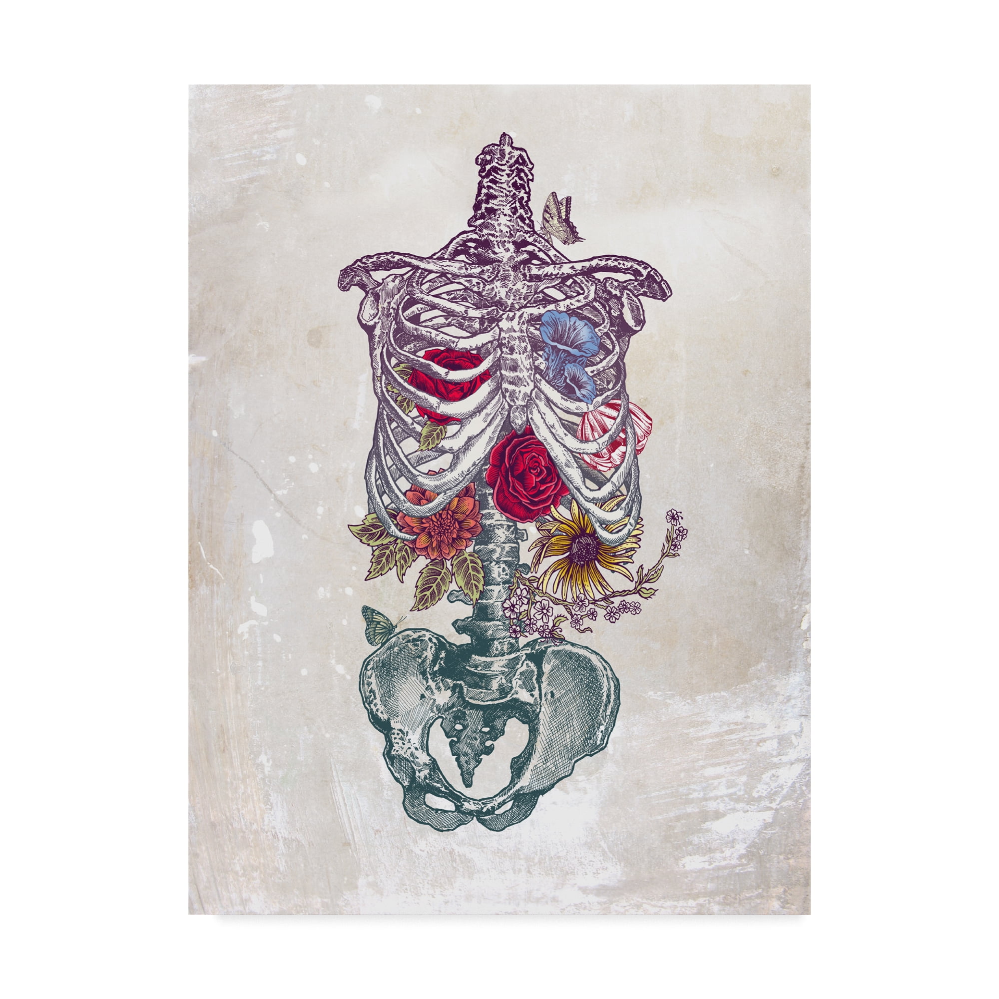 Trademark Fine Art 'Flowers From Within' Canvas Art by Rachel Caldwell